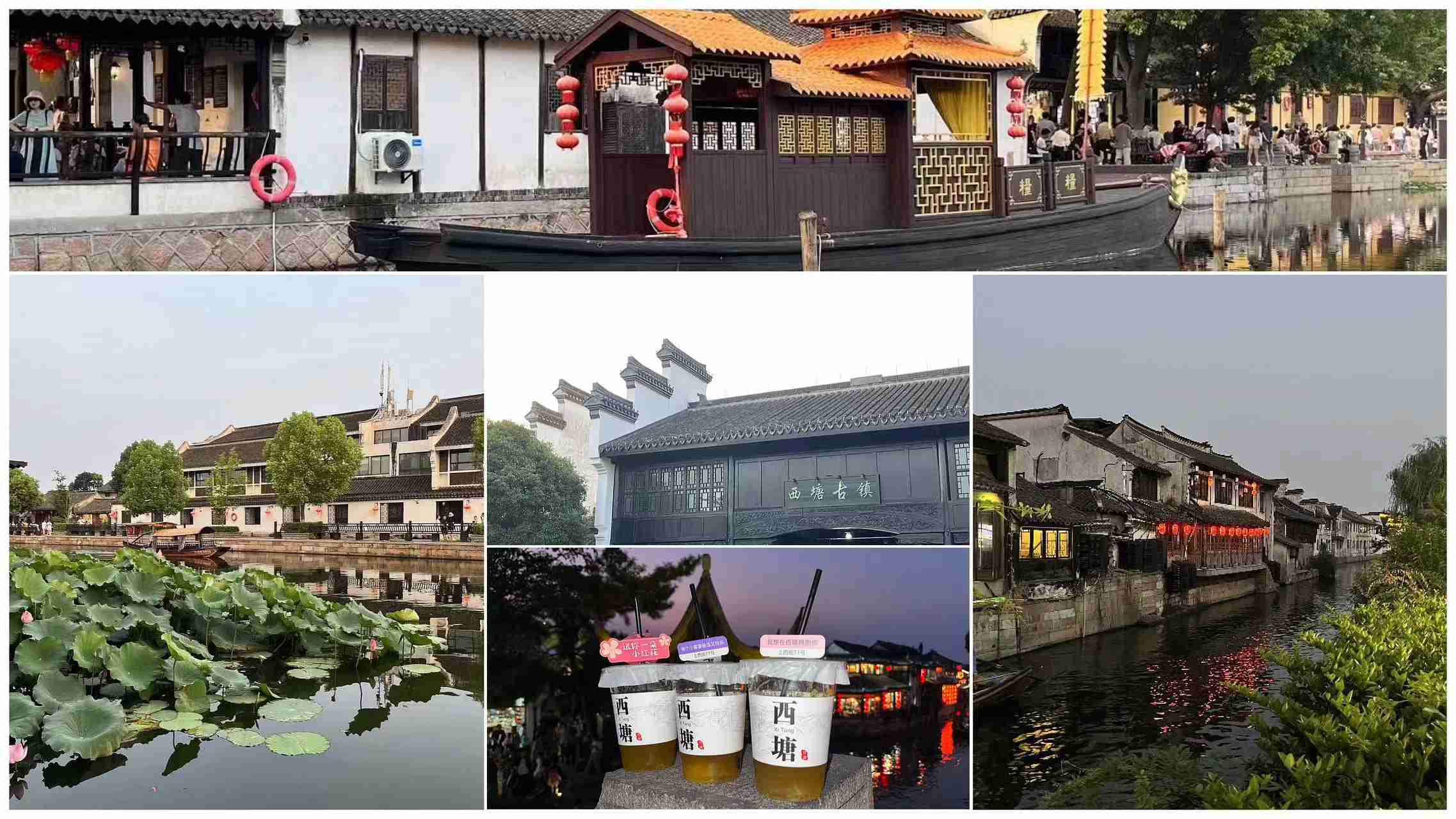 �������ʡ�w66(�й�)���������