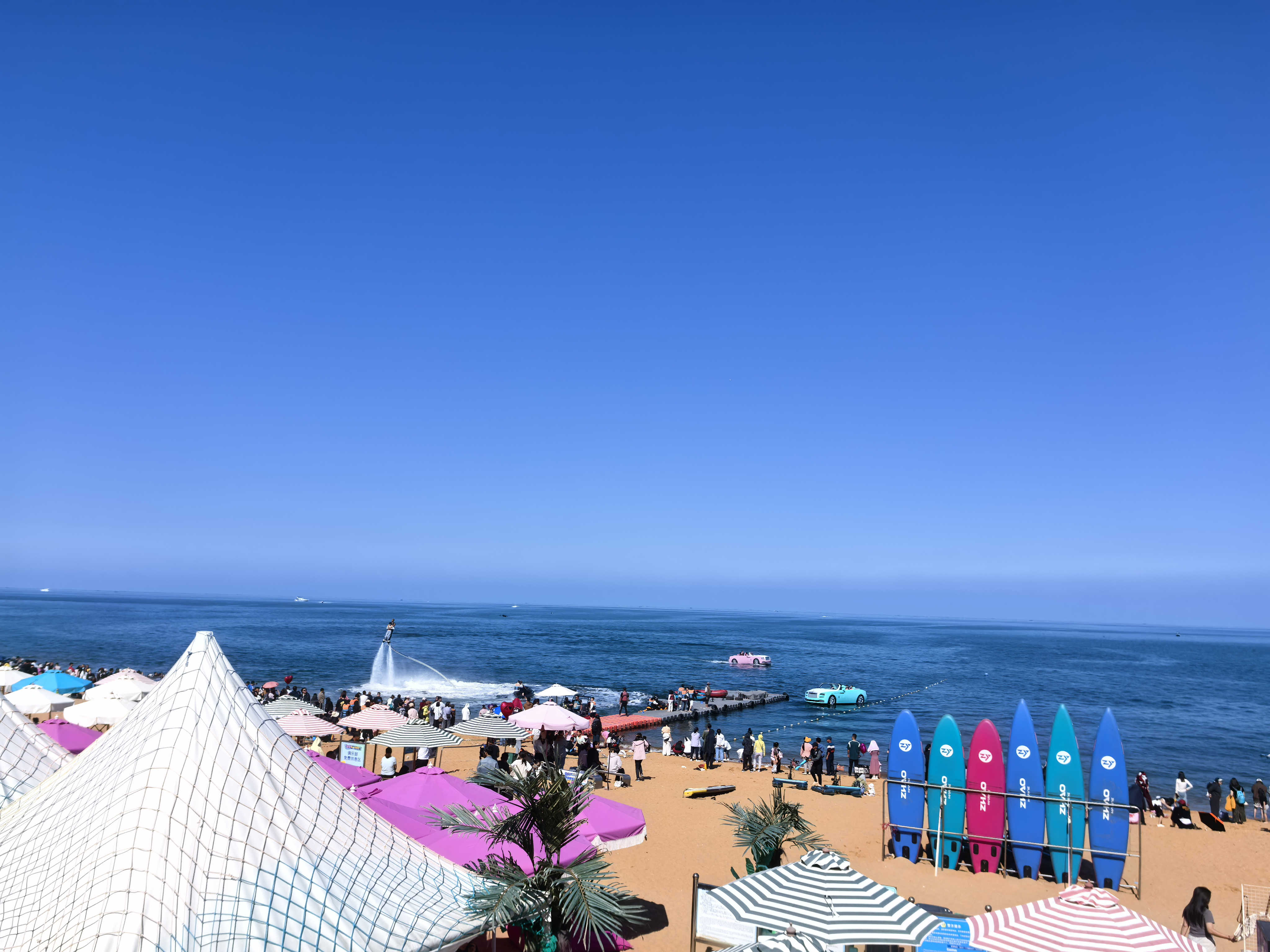 �������ʡ�w66(�й�)���������