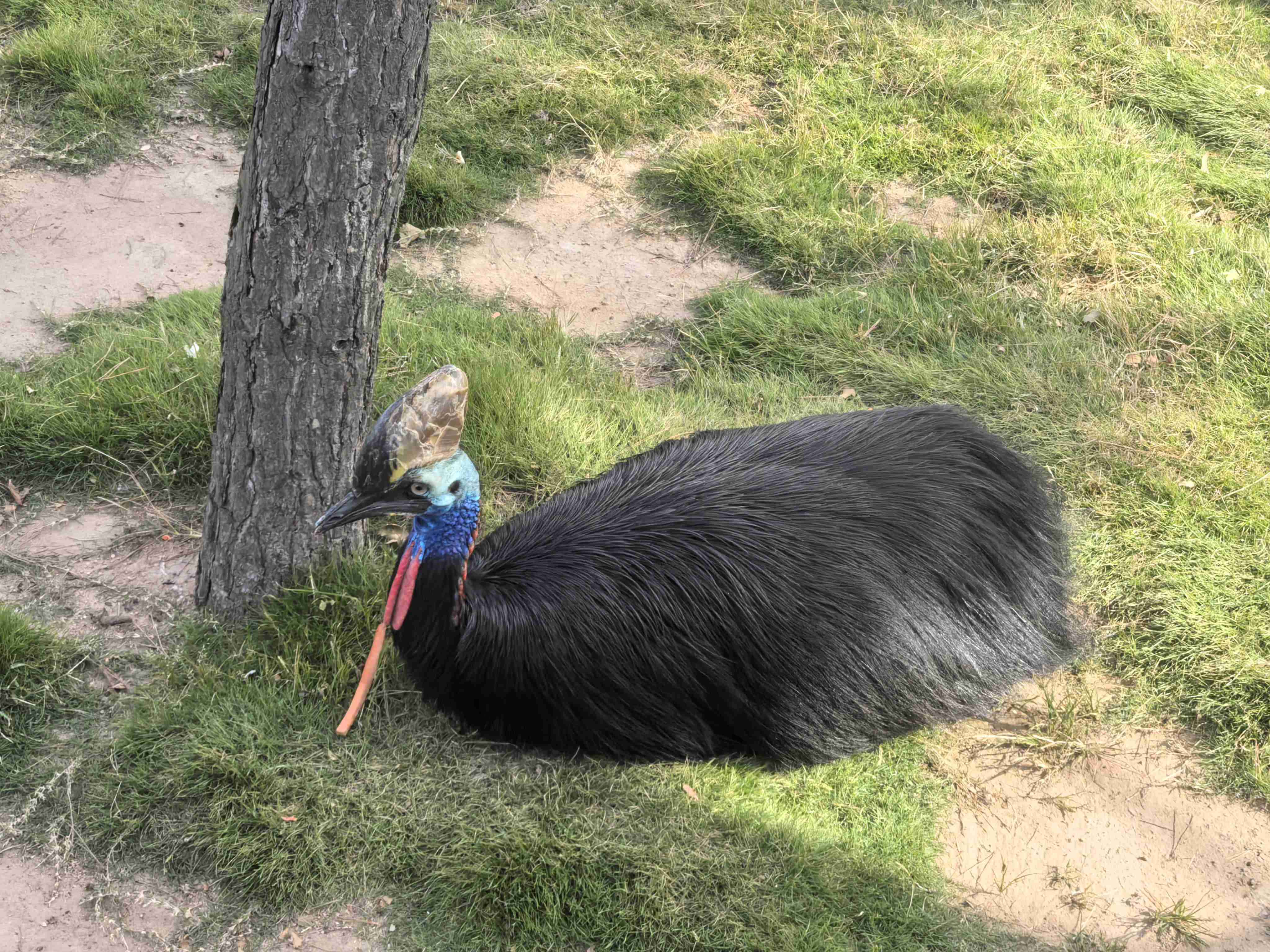 �������ʡ�w66(�й�)���������